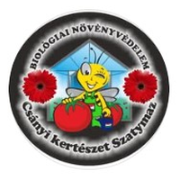 logo_6
